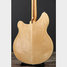 May 2005 Rickenbacker 360/6 , Mapleglo: Body - Rear
