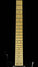 Rickenbacker 650/6 Colorado, Jetglo: Neck - Front