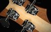 Rickenbacker 4003/4 , Mapleglo: Headstock - Rear