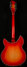 Rickenbacker 1993/12 Plus, Fireglo: Full Instrument - Rear