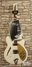 Rickenbacker 360/6 SPC, White: Full Instrument - Front