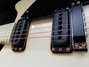 Rickenbacker 360/12 Tuxedo, White: Free image