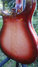 Mar 1995 Rickenbacker 660/12 TP, Fireglo: Body - Rear