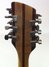 Rickenbacker 360/12 VP, Mapleglo: Headstock - Rear