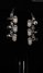 Rickenbacker 1993/12 Plus, Jetglo: Headstock - Rear