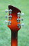 Rickenbacker 335/6 Capri, Two tone brown: Headstock - Rear