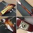Rickenbacker 330/6 , Fireglo: Close up - Free