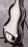 Rickenbacker 59/6 LapSteel, Gray Sunburst: Close up - Free2