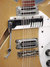 Rickenbacker 366/12 , Mapleglo: Close up - Free