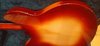 Oct 1993 Rickenbacker 330/6 , Fireglo: Body - Rear