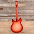 Rickenbacker 1993/12 Plus, Fireglo: Full Instrument - Rear