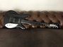 Rickenbacker 230/6 GF, Jetglo: Full Instrument - Front