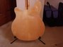 Sep 1988 Rickenbacker 370/12 RM, Mapleglo: Body - Rear