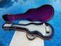 Rickenbacker 59/6 LapSteel, Gray Sunburst: Free image