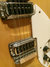 Rickenbacker 330/12 , Mapleglo: Free image
