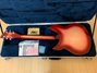 Rickenbacker 330/6 , Fireglo: Full Instrument - Rear