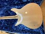 Jan 2008 Rickenbacker 350/6 V63, Mapleglo: Body - Rear