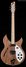 Rickenbacker 330/6 , Natural Walnut: Full Instrument - Front