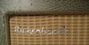 Rickenbacker M-88/amp , Gray: Headstock - Rear