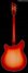 Rickenbacker 360/6 , Fireglo: Full Instrument - Rear