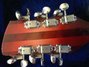 Rickenbacker 360/12 , Fireglo: Headstock - Rear