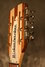 Jun 2004 Rickenbacker 381/12 V69, Mapleglo: Headstock