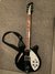 Rickenbacker 360/6 , Jetglo: Full Instrument - Front