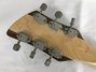 Rickenbacker 660/6 , Mapleglo: Headstock - Rear