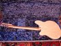 Rickenbacker 370/12 , Mapleglo: Full Instrument - Rear
