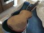 Rickenbacker Ace/6 LapSteel, Brown: Full Instrument - Rear