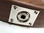 Rickenbacker 330/6 , Natural Walnut: Close up - Free