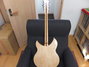 Rickenbacker 330/12 , Mapleglo: Full Instrument - Rear