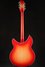 Rickenbacker 360/12 C63, Fireglo: Full Instrument - Rear