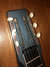 Rickenbacker 100/6 LapSteel, Silver Gray: Headstock
