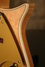 Rickenbacker 660/6 , Mapleglo: Close up - Free2