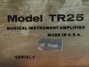 Rickenbacker TR25/amp , Black: Close up - Free