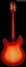 Rickenbacker 360/12 C63, Fireglo: Full Instrument - Rear