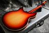 Rickenbacker 360/12 C63, : Full Instrument - Rear