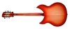Rickenbacker 330/12 , Fireglo: Full Instrument - Rear