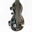 Rickenbacker NS 100/6 LapSteel, Silver: Free image