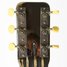 Rickenbacker NS 100/6 LapSteel, Silver: Headstock - Rear