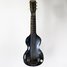 Rickenbacker NS 100/6 LapSteel, Silver: Full Instrument - Front