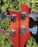 Rickenbacker 4001/4 , Fireglo: Headstock - Rear