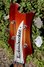 Rickenbacker 4000/4 , Fireglo: Headstock