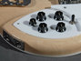 Rickenbacker 360/6 , Mapleglo: Free image