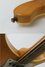 Rickenbacker 4001/4 , Mapleglo: Neck - Front