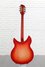 Rickenbacker 360/12 C63, Fireglo: Full Instrument - Rear