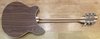Rickenbacker 360/12 , Natural Walnut: Full Instrument - Rear