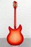 Rickenbacker 360/12 C63, Fireglo: Full Instrument - Rear