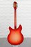 Rickenbacker 360/12 C63, Fireglo: Full Instrument - Rear